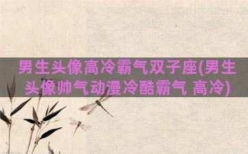 男生头像高冷霸气双子座(男生头像帅气动漫冷酷霸气 高冷)